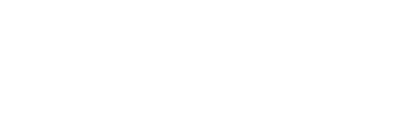 NAUTILUS DYNAMICS